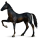 Cheval de selle Criollo Argentin Alezan Brûlé
