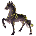 Poney Fjord Brunblakk