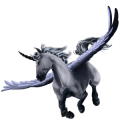 Okřídlený poníkorožec  Palomino