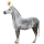 Unicorn pony Australian Pony Fleabitten Gray