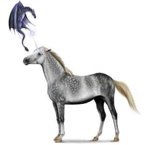 Riding unicorn Mangalarga Marchador Roan