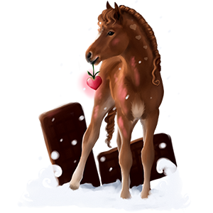 Poney Français de Selle Bai