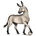 Donkey Standard Donkey White