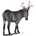 Âne licorne Marron