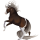 Riding Horse Paint Horse Liver chestnut Tobiano