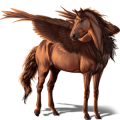 Winged riding unicorn Brumby Dapple Gray