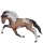 Riding Horse Thoroughbred Dark Bay