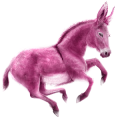 Âne Marron foncé
