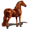 Reitpferd Fuchs