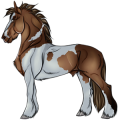Cheval de trait Pie Tovero Bai