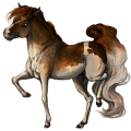 Pony Shetlander Kastanje