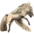 Poney pégase Brunblakk