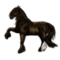 Cheval de trait Shire Gris Clair