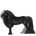 Cavallo da tiro Shire Nero