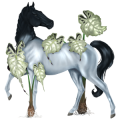 Reitpferd Fuchs