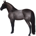 Caballo de tiro Percherón Negro