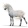 Einhorn-Pony New-Forest-Pony Palomino