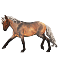 Poney licorne Connemara Cremello