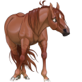 Cavalo de passeio Crioulo Argentino Manto com pintas pretas