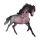 Pony Shetlandpony Roan