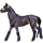 Reitpferd Araber Roan