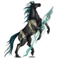Reitpferd Argentinischer Criollo Rappschecke