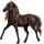 Cheval de selle Shagya Gris Clair
