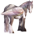 Pegasus-Kaltblut Drum Horse Brauner mit Tobiano-Scheckung