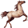 Reitpferd Misaki Rappe