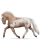 Poney Highland Pony Gris Clair