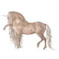 Licorne de selle Noir