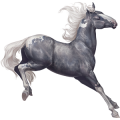 Pony New-Forest-Pony Brauner