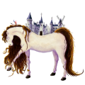 Reitpferd Palomino