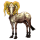 Cheval de selle Frison Noir