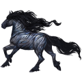 Cheval de selle Arabe Noir