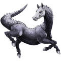 Poni Conemara Negro