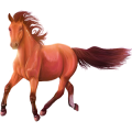 Pegasus-Reitpferd Argentinischer Criollo Falbe