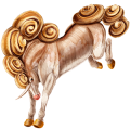 Einhorn-Pony Shetlandpony Brauner