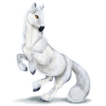 Cheval de trait Gris Clair
