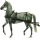 Cheval de selle Arabe Gris Truité