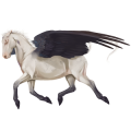 Pegazus póni Belga Riding póni Cremello
