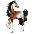 Koń wierzchowy Appaloosa Kasztanowata derka