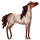 Poney Highland Pony Gris Souris