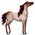 Poney Shetland Palomino