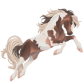 Riding Horse Shagya Arabian Dapple Gray