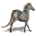 Cheval de selle Arabe Gris Pommelé