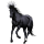 Caballo de montar Holstein Negro