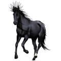 Cavallo da corsa Quarter Horse Castano