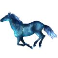 Caballo de montar Árabe Negro