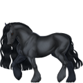 Pony Connemara Dapple Gray